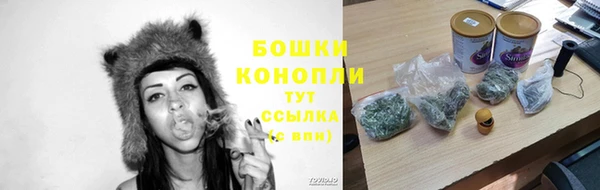 PSILOCYBIN Каменск-Шахтинский