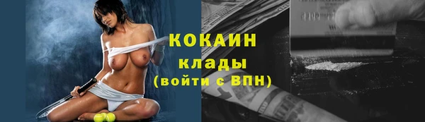 Альфа ПВП Каменка