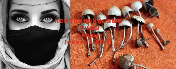 PSILOCYBIN Каменск-Шахтинский
