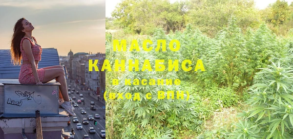 Альфа ПВП Каменка
